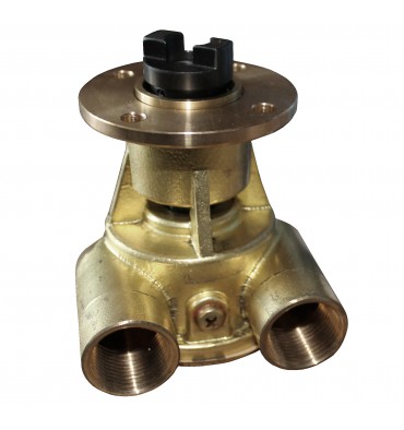 Motorkühlungpumpe ANCOR ST170 Boot